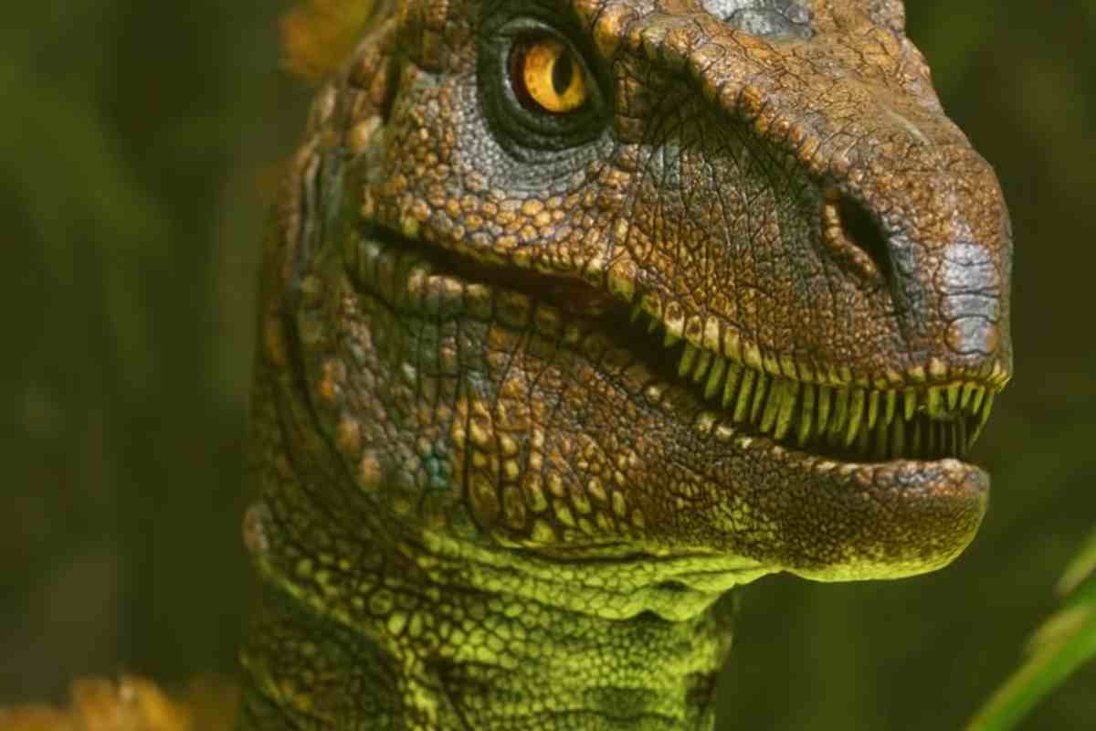 orme di dinosauri che valgono oro